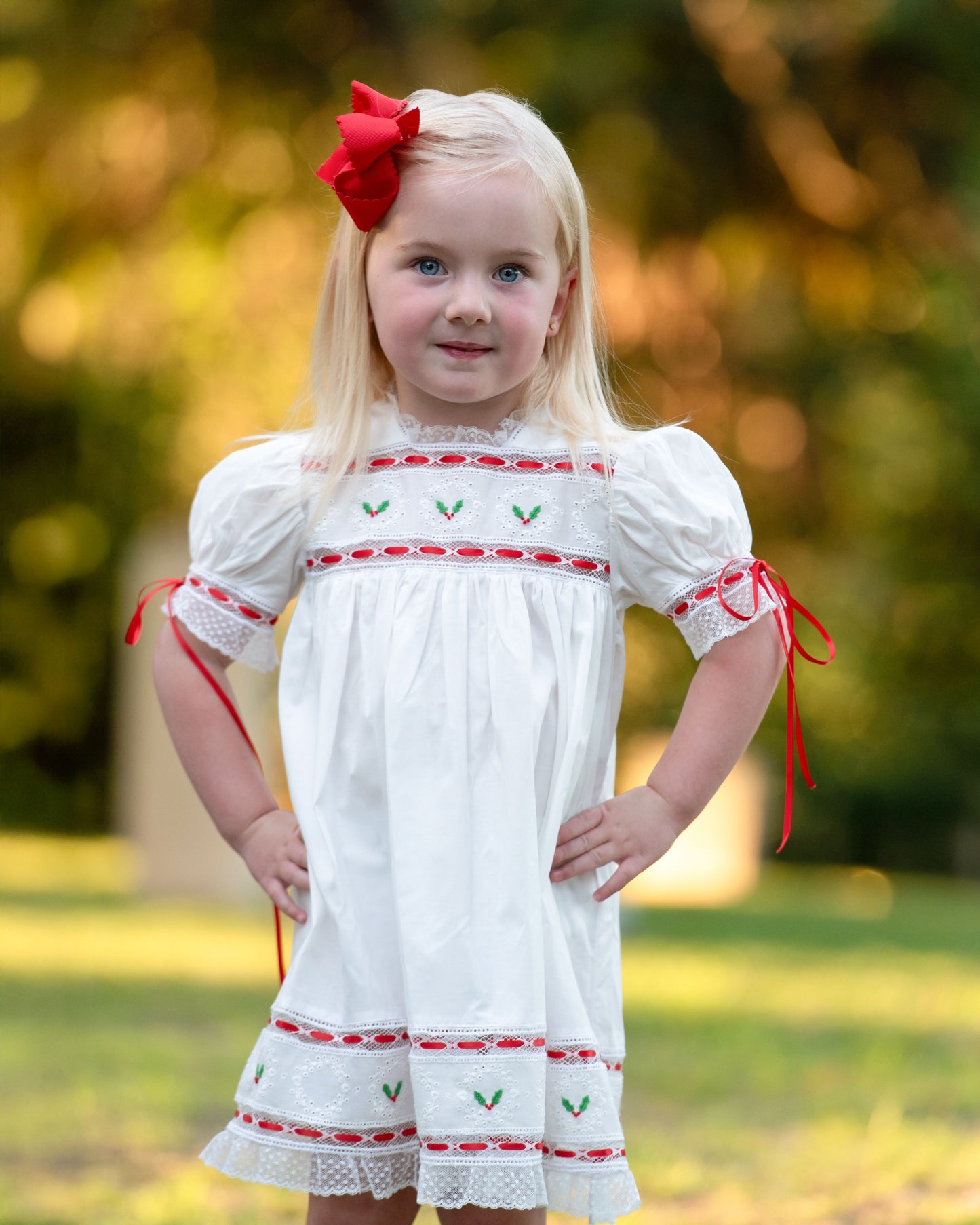 Embroidered Holly Heirloom Dress