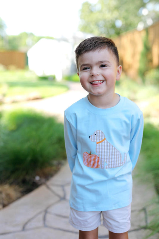 A young boy smiling outdoors on a stone path, wearing a light blue long-sleeve t-shirt with a gingham seal and pumpkin applique on the front, paired with white shorts.