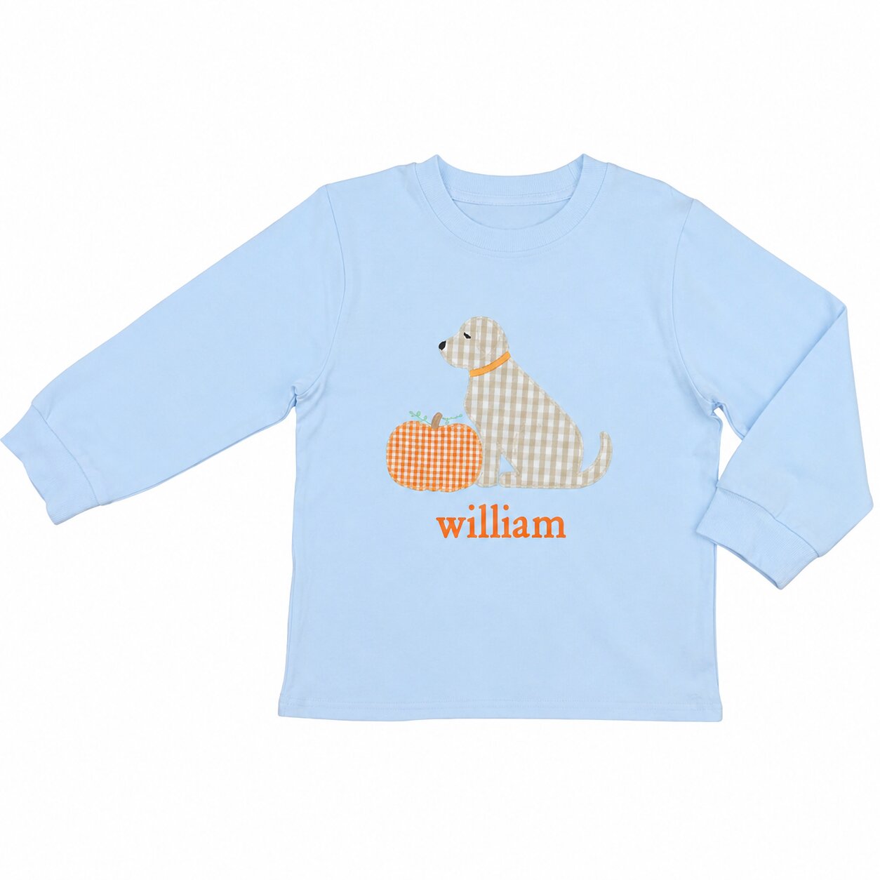 Blue Knit Applique Pumpkin And Puppy Shirt1