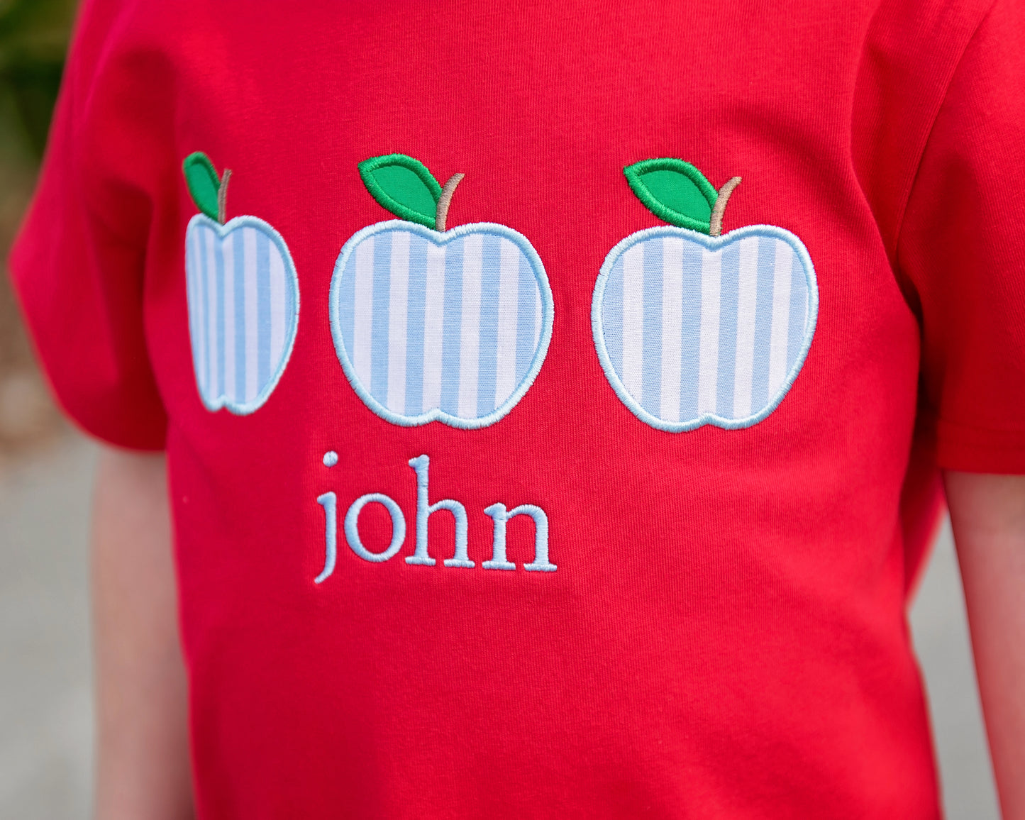 Blue And Red Striped Apple Short Set