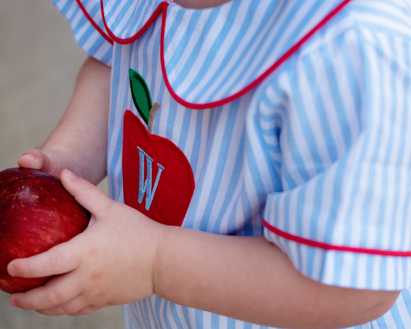 Blue Striped Apple Diaper Set