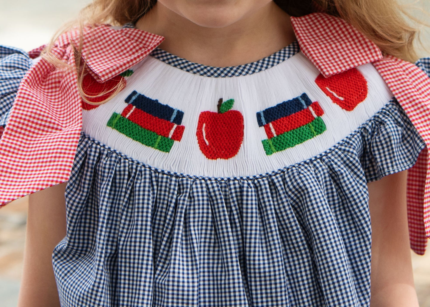 Navy Gingham Smocked Books And Apple Dress