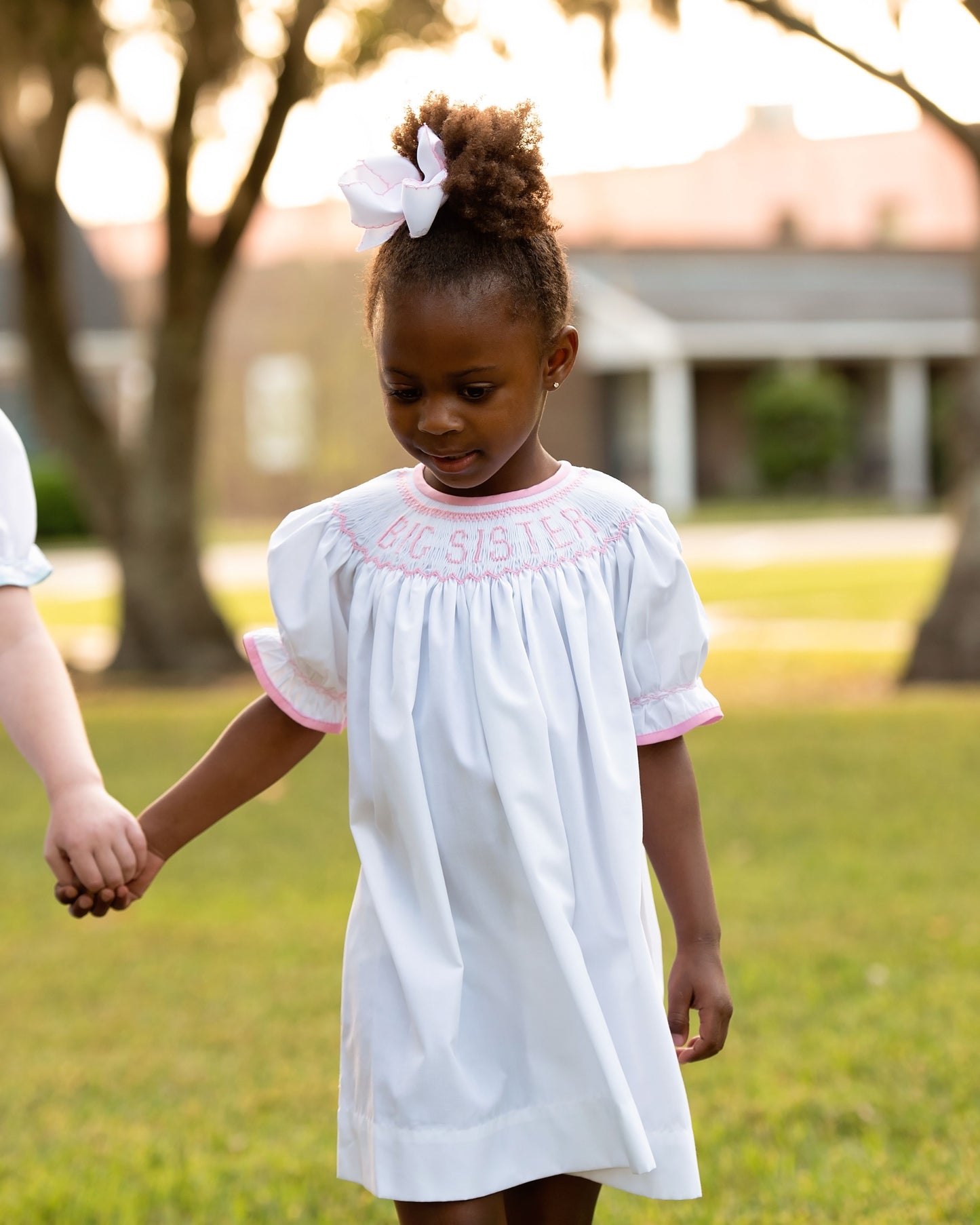 Pink Smocked Big Sister Dress