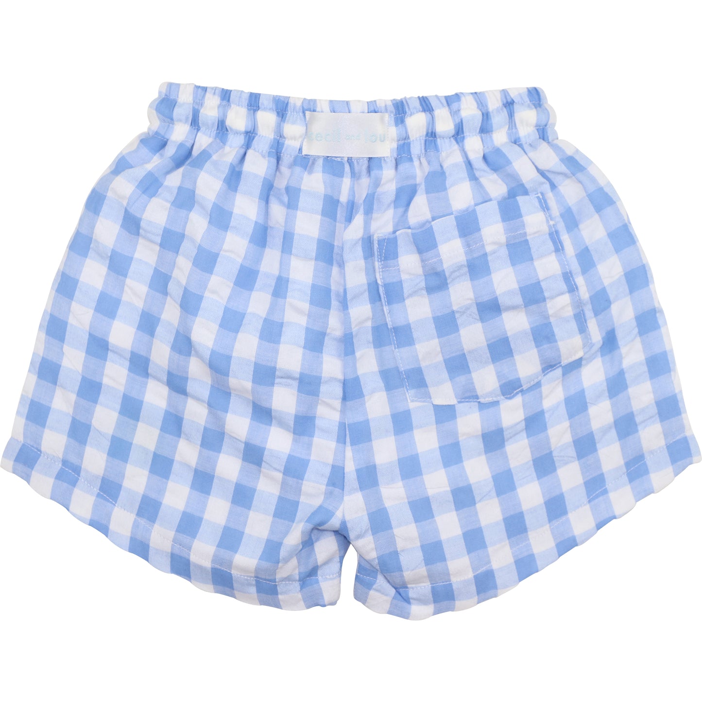 Blue Check Seersucker Swim Trunks