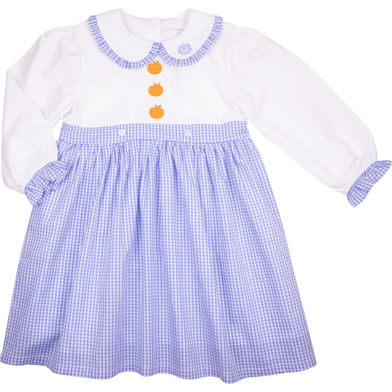 Blue Check Embroidered Pumpkin Dress