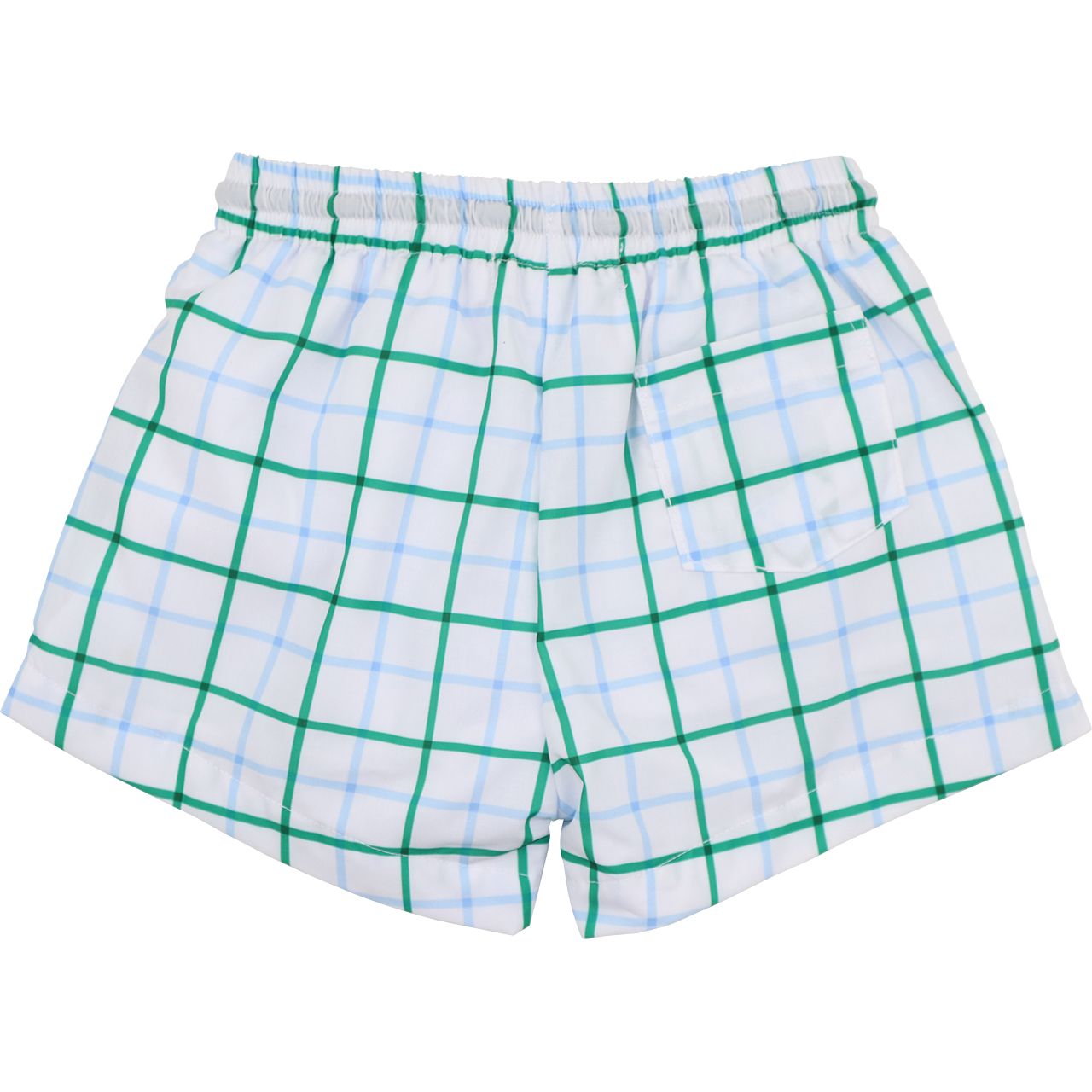 Green And Blue Windowpane Swim Trunks