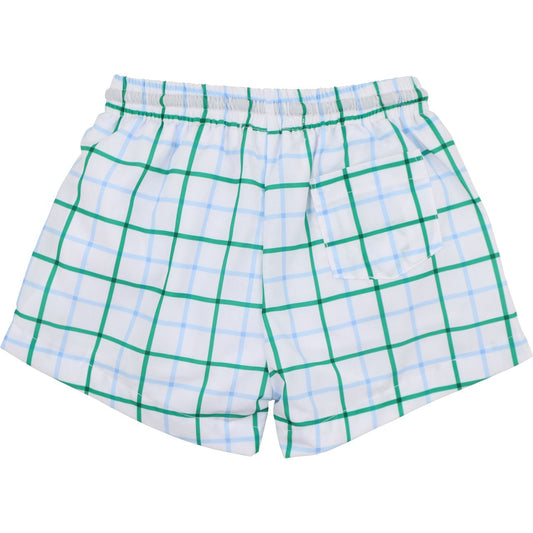 Green And Blue Windowpane Swim Trunks