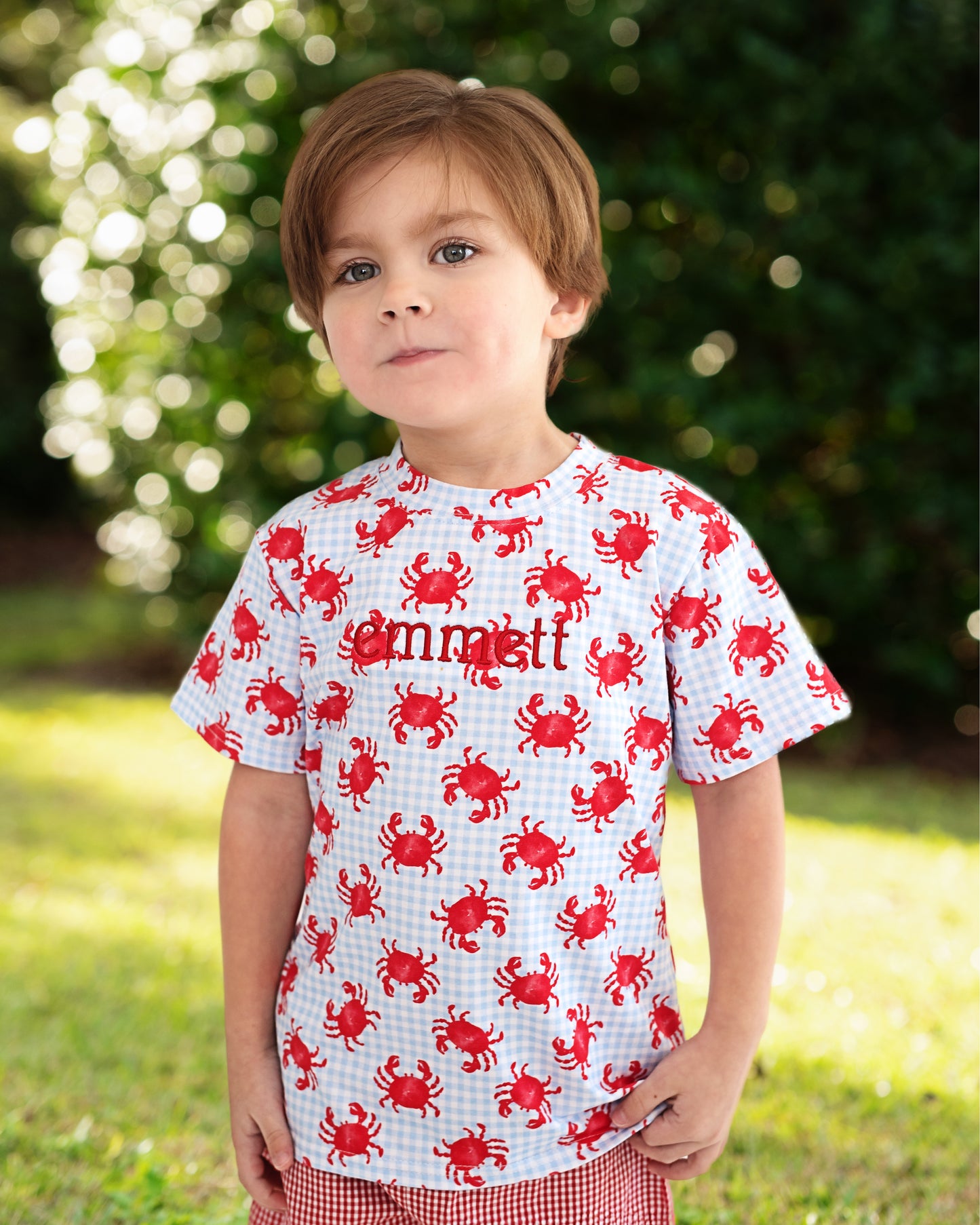 Red And Blue Gingham Crab Short Set