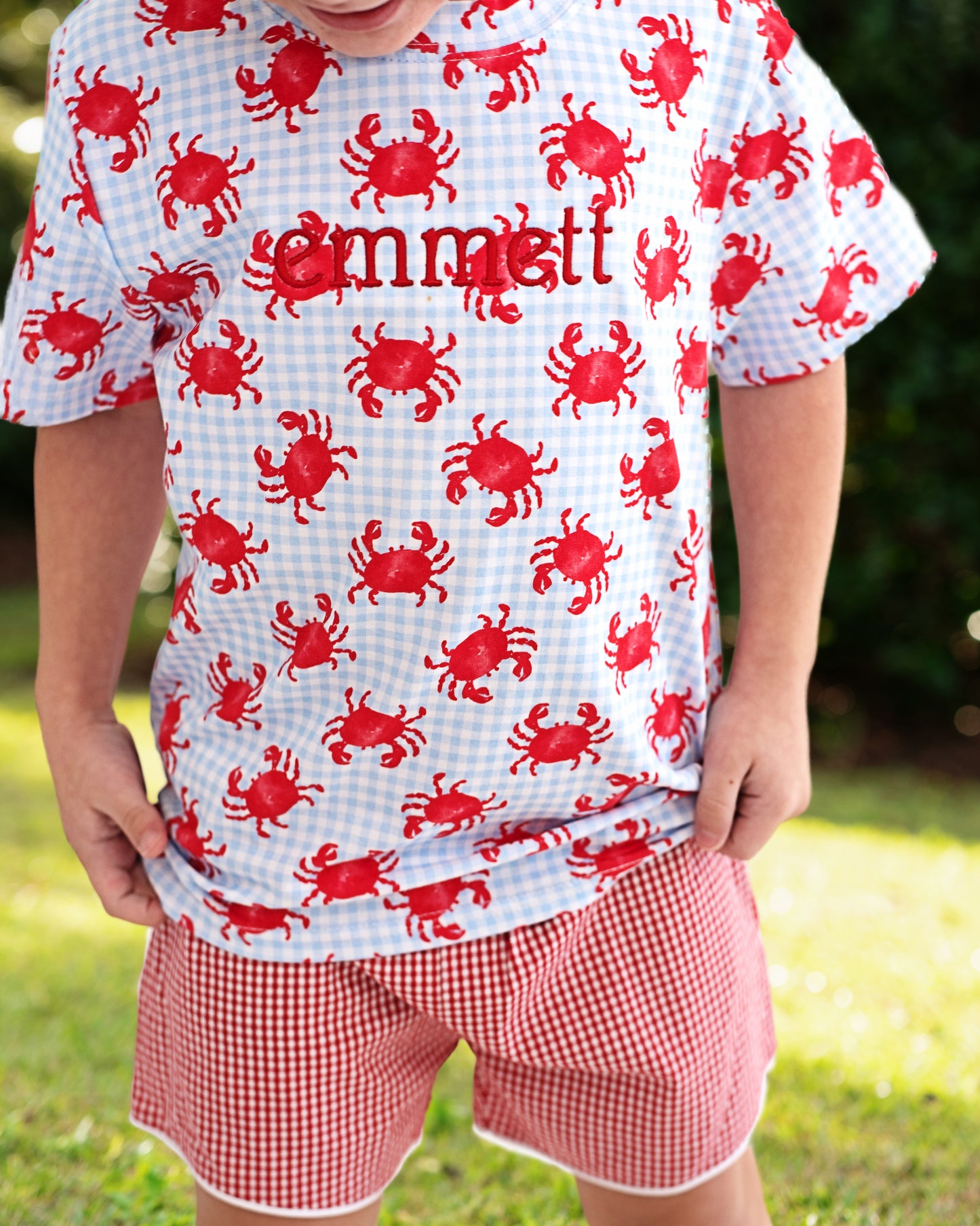 Red And Blue Gingham Crab Short Set
