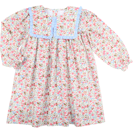 Pink And Blue Fall Floral Dress