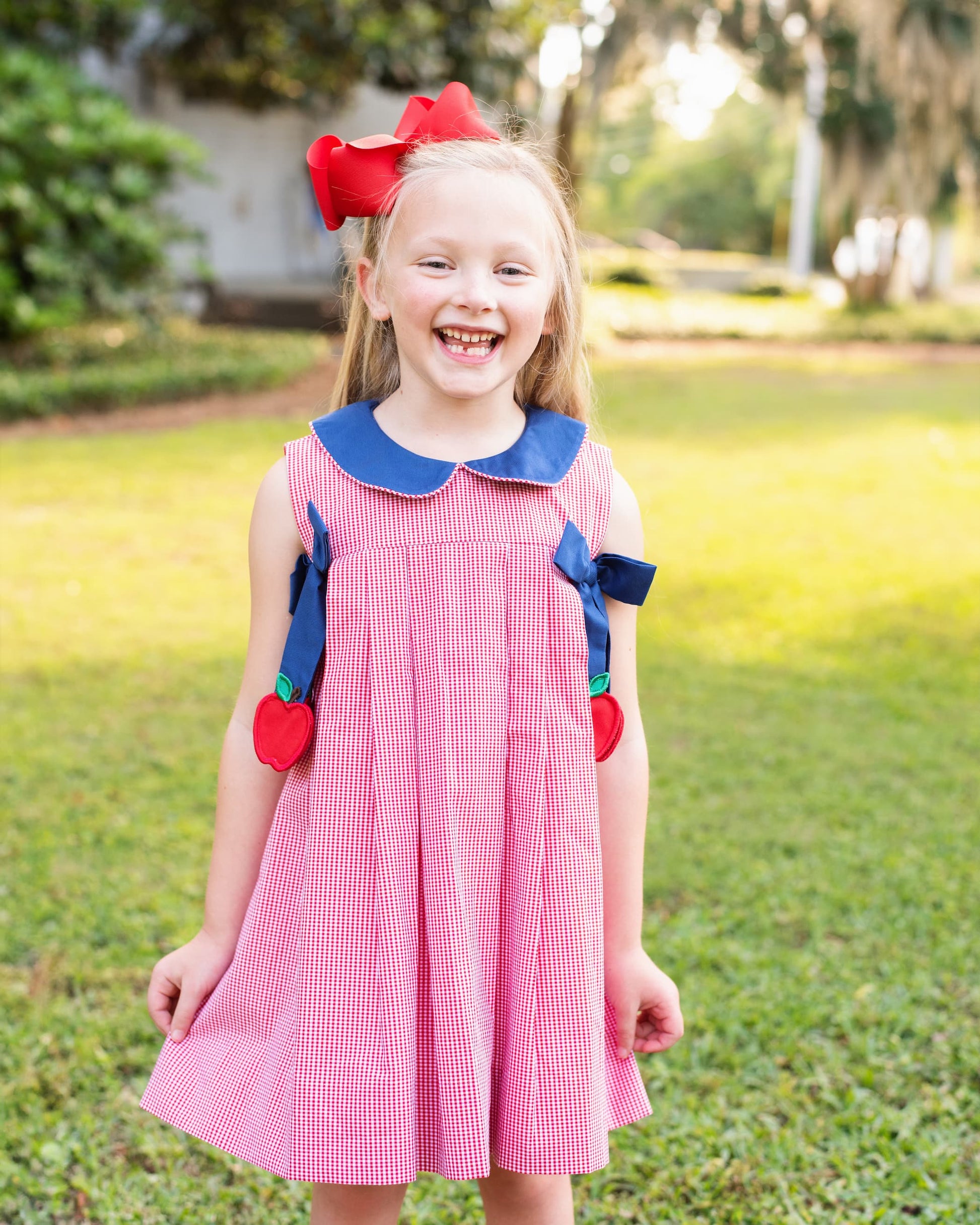 Young girl in red gingham dress with apples on the sides.