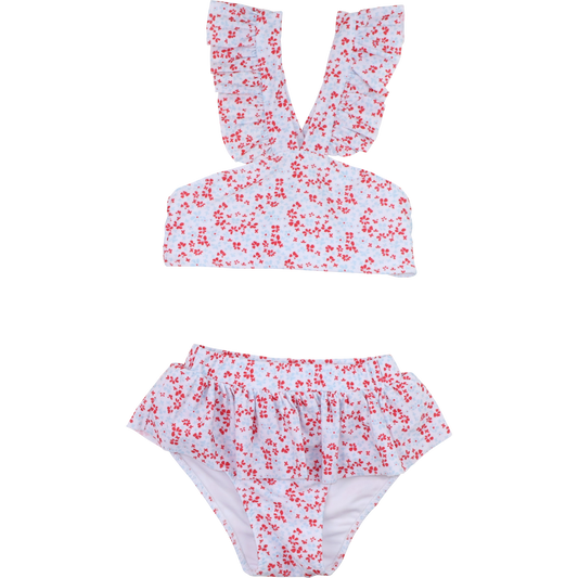 Red And Blue Floral Lycra Bikini