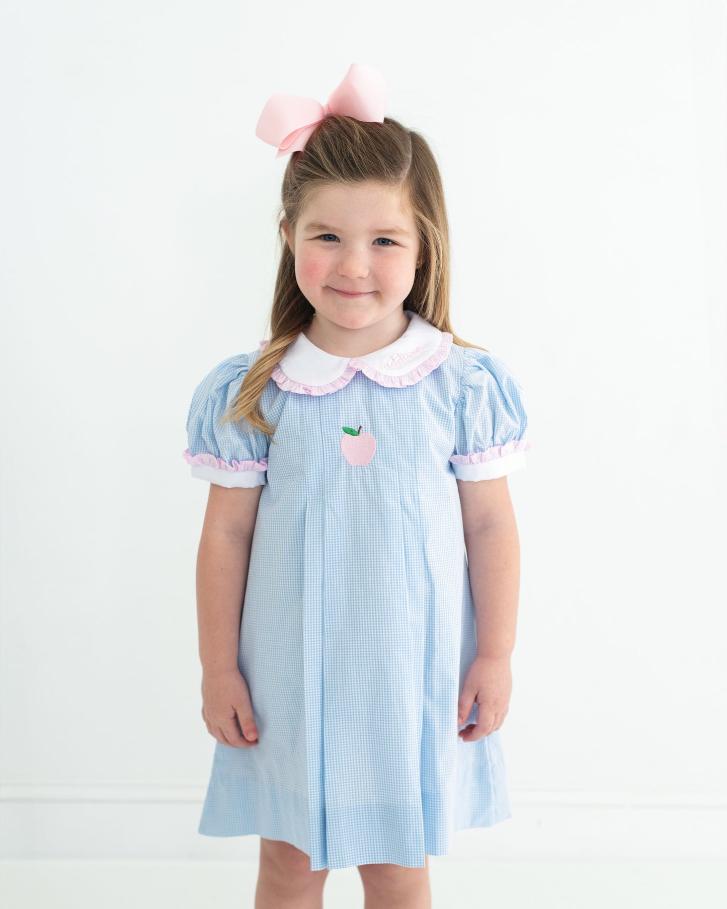 Blue And Pink Embroidered Apple Dress